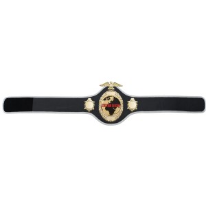 GOLD PRO288 CUSTOM CHAMPIONSHIP BELT  ***BEST SELLER***